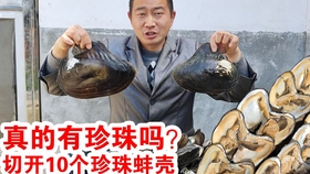 怎么晒萝卜干家常晒法 952df2b2f324275c7d1e9c7fd93ceb8c23f66596.jpg@280w_158h_1c_100q.jpg