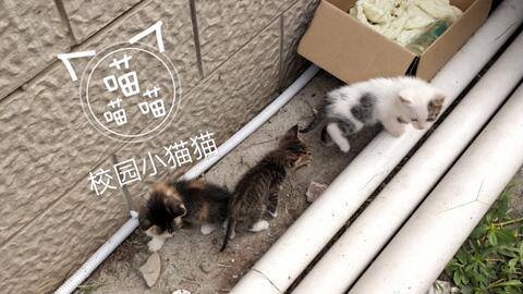 95413482155cafd939b7ca62092fe3f0ee39d6b5.jpg@480w_270h_1c