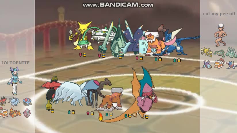 pokemonshowdowna九尾第二弹