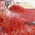 工厂是如何批量生产番茄酱的？