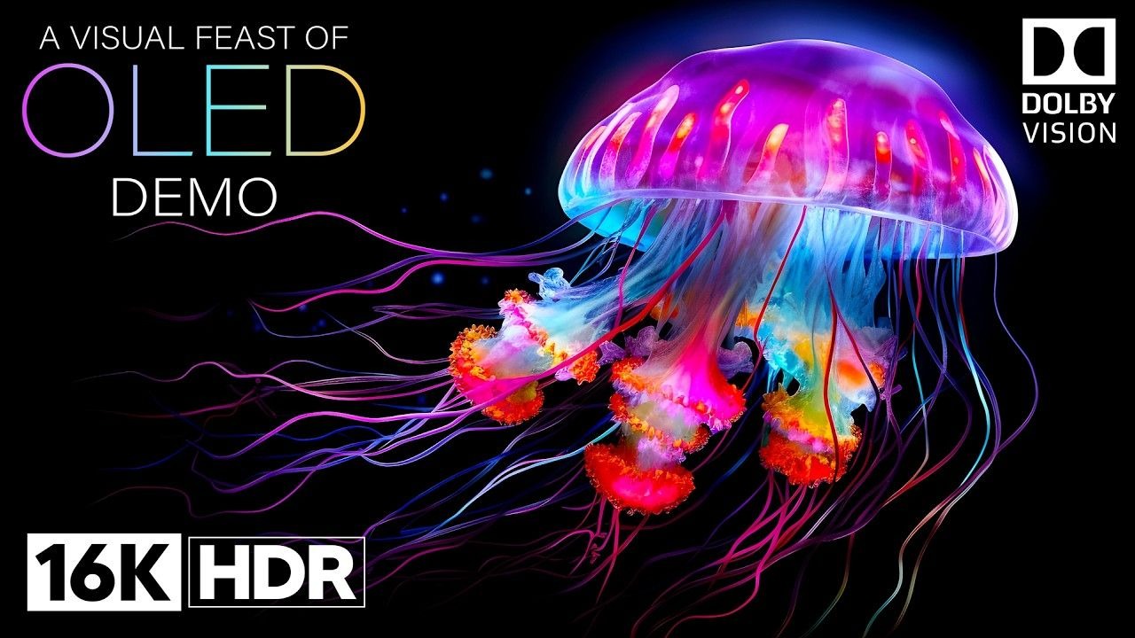 【16K HDR】OLED测试视频 - 16K HDR 120FPS DOLBY VISION DEMO -|极致画质|杜比视界|电视屏幕测试|手机屏幕测试 |