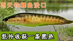 95842cfe28cdfbc4560a3bda07e3e9b0cdf52832.jpg@280w_158h_1c_100q.jpg