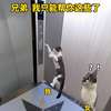 兄弟，我只能帮你这些了