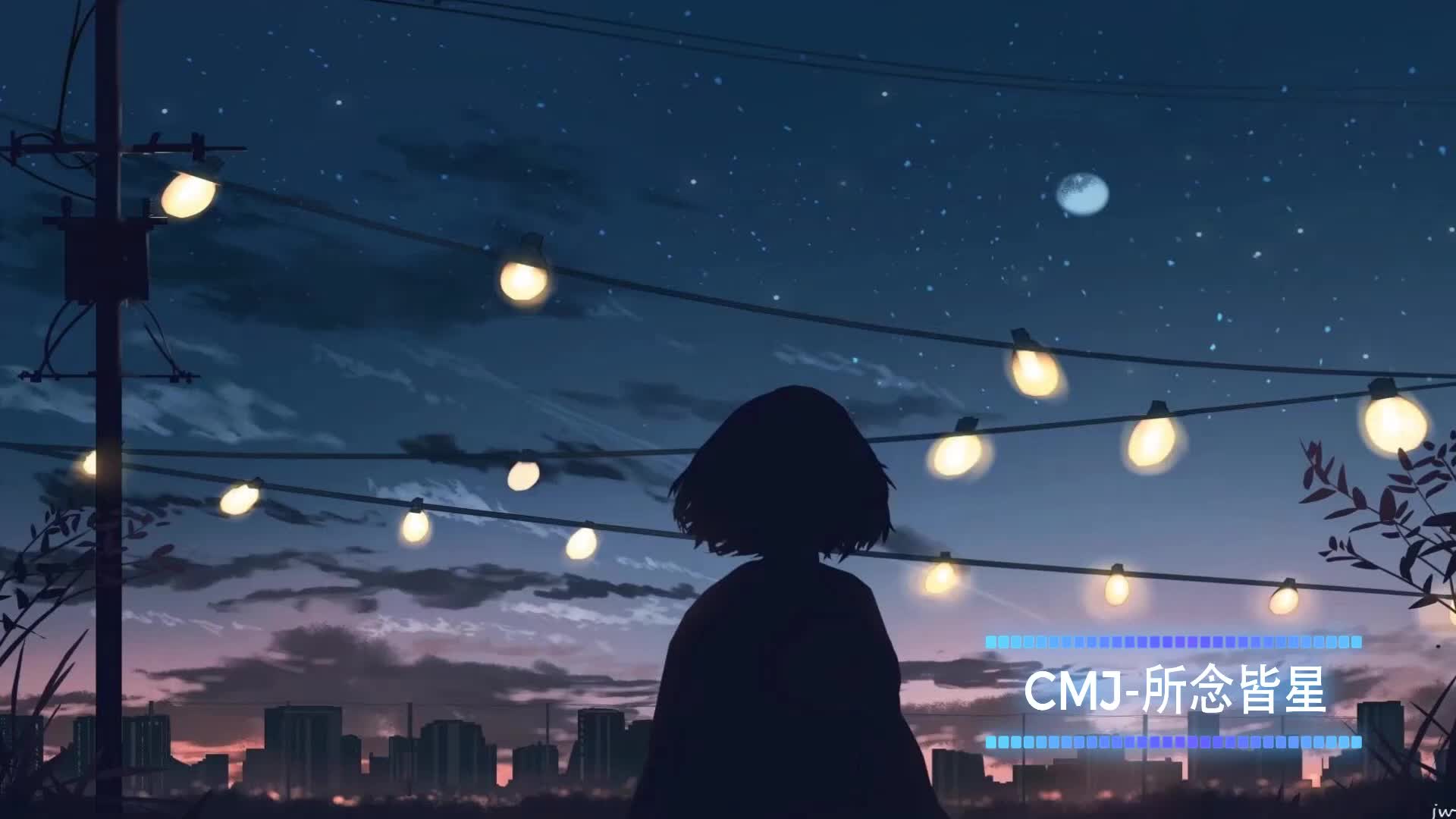 CMJ-所念皆星河 【纯音乐_轻音乐】
