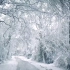 风景素材 视频素材 下雪声 素材