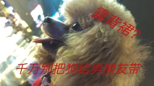 959c1756d1c4e9aa131ce2ae87683a9e5cb60ad7.jpg@310w_174h_1c_100q.jpg