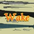 【wake/星球大战】星球大战载具混剪   “是它们给了星战灵魂”