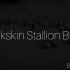 Buckskin Stallion Blues