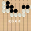 适合围棋初学者的初级死活——每日一练，提升棋感（13）