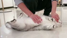 饭团小夫妻全集视频 95c78ef72abe8f48b35bc63bab8b1af1ecea3651.jpg@280w_158h_1c_100q.jpg