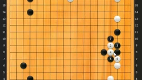 围棋手排名_围棋棋盘(2)
