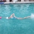 Aimee游泳学堂自由泳十三课，水下高肘抱水分解动作练习