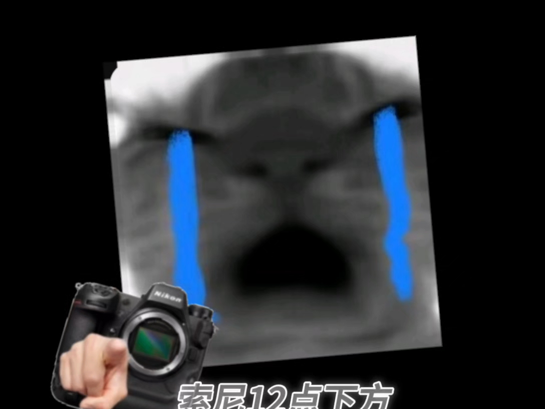 玩战雷和相机的都沉默了
