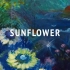 【IA】Sunflower【正人/自调教】
