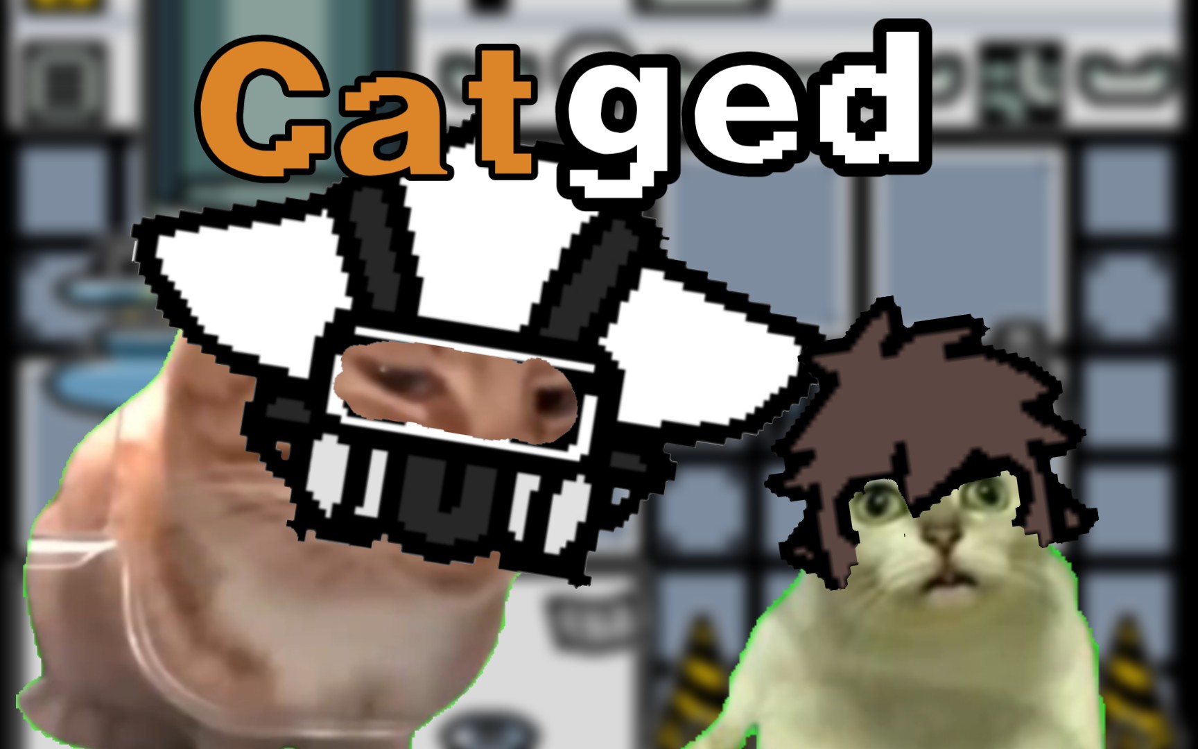 [猫meme]兽化实验室二三事儿＃1