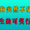 当舔狗突然不舔女生了，她的可笑行为