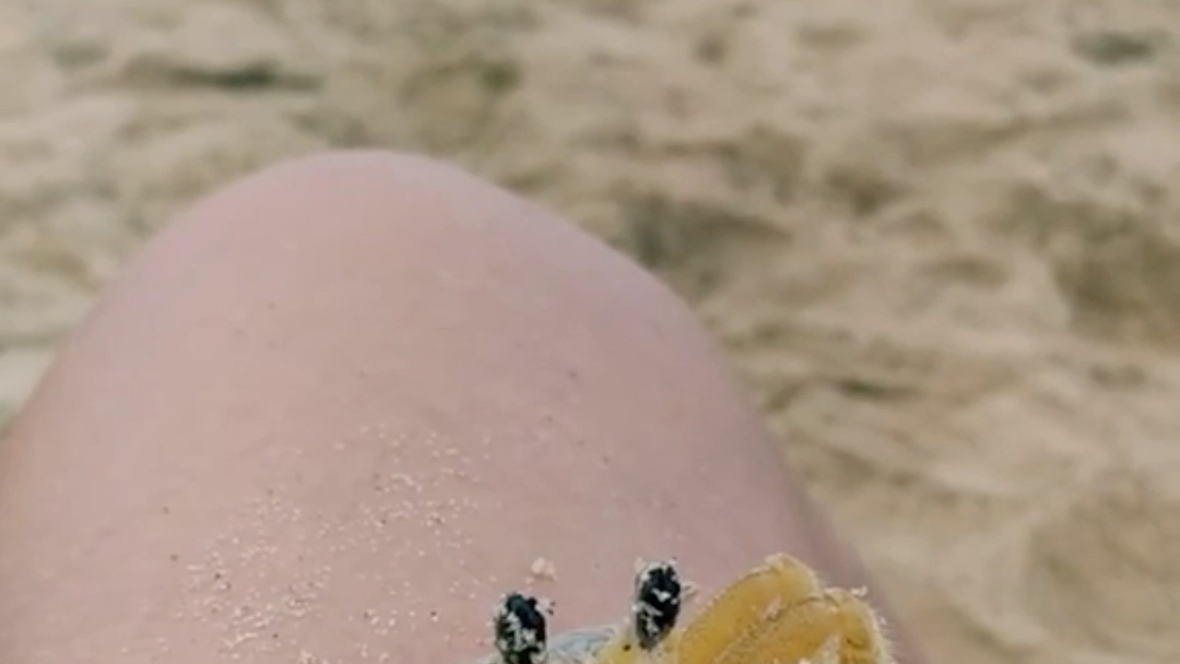看小螃蟹怎么清理眼睛上的沙子