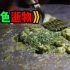 《绿色食物》这真是碳基生物做出来的美食吗？