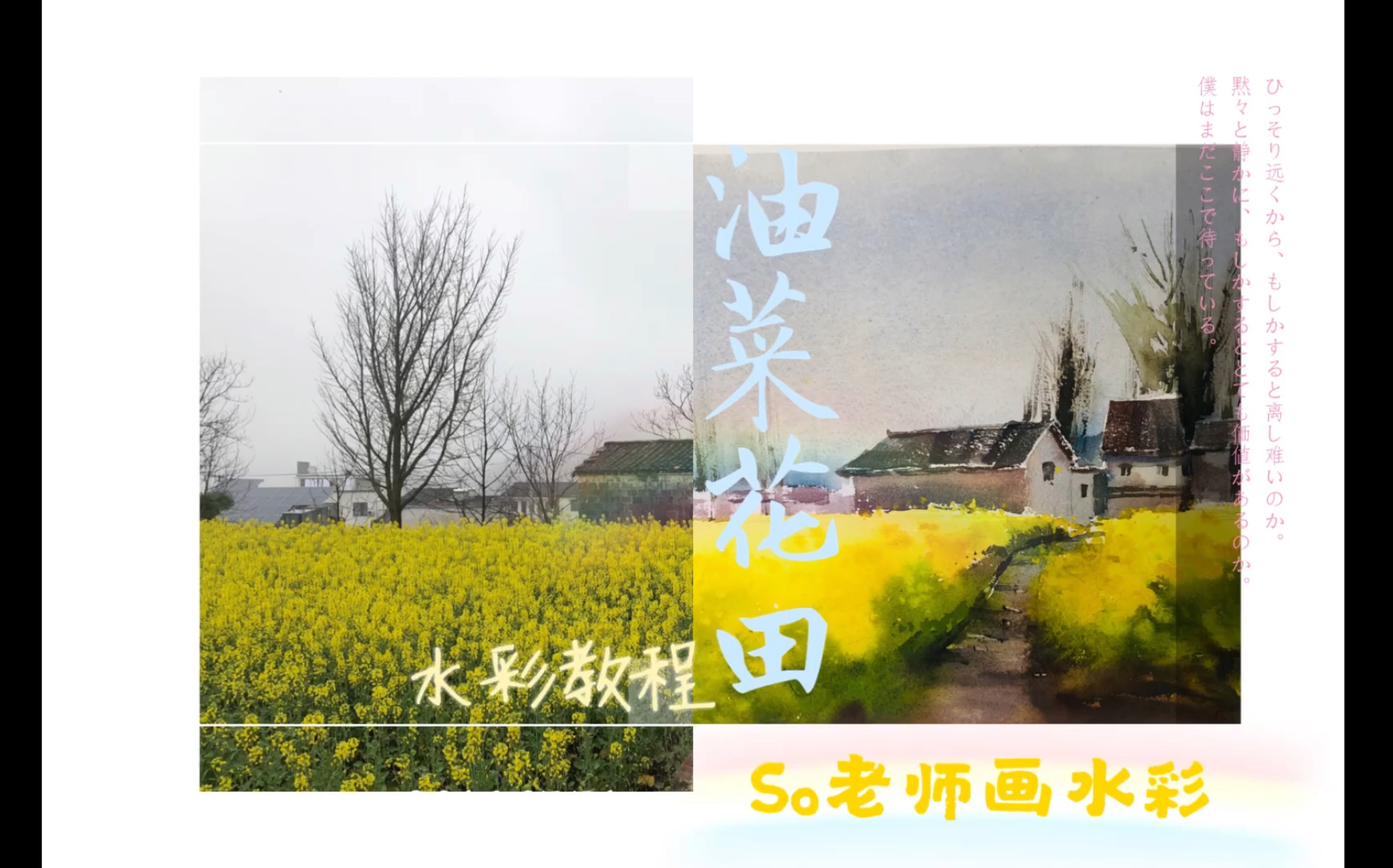 so老师带大家画油菜花!文字讲解版水彩教程!