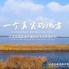 （转载）一个真实的地方-盐城湿地珍禽国家级自然保护区