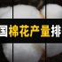 中国棉花产量排行榜：新疆棉花有多强？