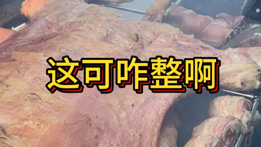 哈尔滨流动烤全羊之这可咋整啊