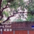 上海的街道-武康路