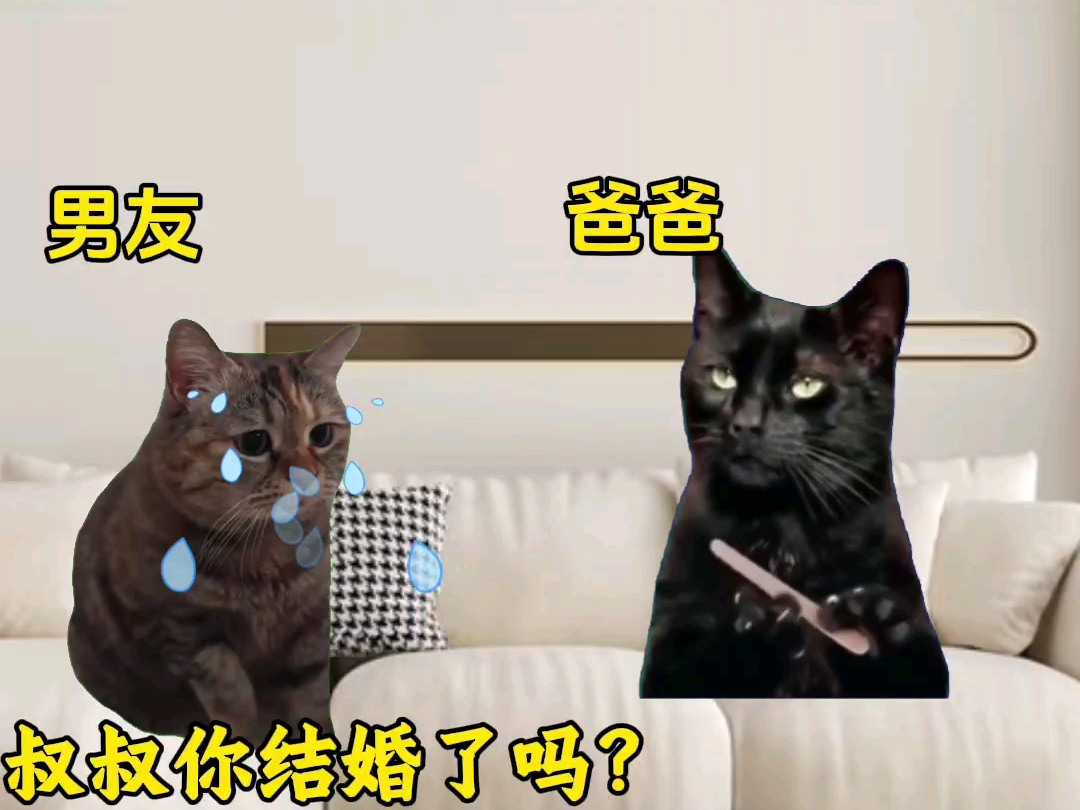 当第一次带男朋友见家长