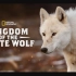 【国家地理频道】雪狼王国 全3集 1080P英语英字 Kingdom Of The White Wolf