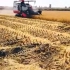 【外国人看中国】中国在干旱的半沙漠地区实现了种植水稻的可能