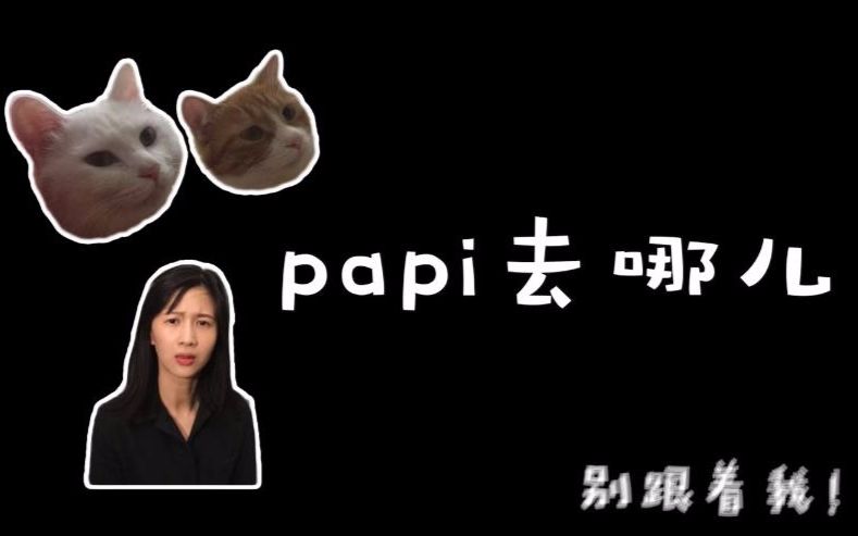 papi酱和小咪的对话你想不想大咪了