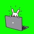 【绿幕素材】可爱的兔子和笔记本电脑绿幕素材包无版权无水印［720p HD］