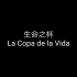 1998年世界杯主题歌《生命之杯》La Copa de la Vida 中西字幕（薛范译配版）