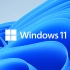 Windows11安装教程，无视TPM2.0限制，任何电脑都可以安装！