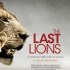 【国家地理】最后的狮子.1080P高码率.中英双语字幕（2011）The Last Lions