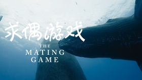 温度多少度才能燃烧 973cd7b0632927b8c98ae402d04a92bcaa2f3b31.jpg@280w_158h_1c_100q.jpg