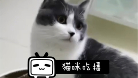97766de0b07c11a2f4b69e15558af2d5fbc629e7.jpg@280w_158h_1c_100q.jpg