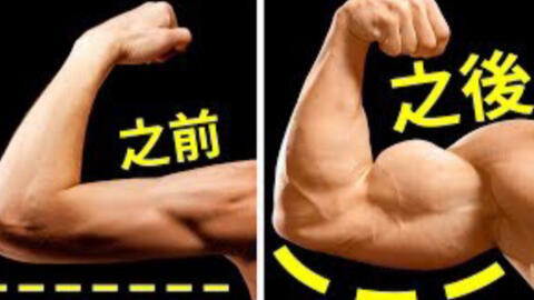 977d35abf4158703eeb1b9b36dc5eeea4a144812.jpg@480w_270h_1c