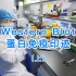 实验：Western Blot蛋白免疫印迹