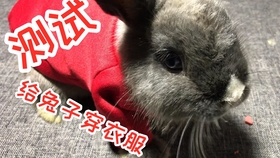 979b46225086b8013713260cb6c76b647b2fe1b2.jpg@280w_158h_1c_100q.jpg