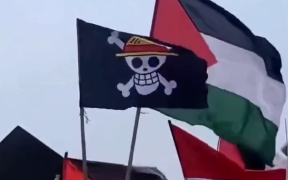 巴勒斯坦集会上出现了这个旗帜