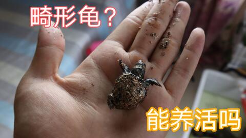 97c47390abf04633b8005b1697ecff2439076381.jpg@480w_270h_1c