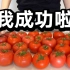 挑战用10斤番茄自制真正的番茄酱，自己做的番茄酱口感太绝了！