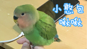 97dbdbe980fd61c3026ec56ca0566acc141095ef.jpg@280w_158h_1c_100q.jpg