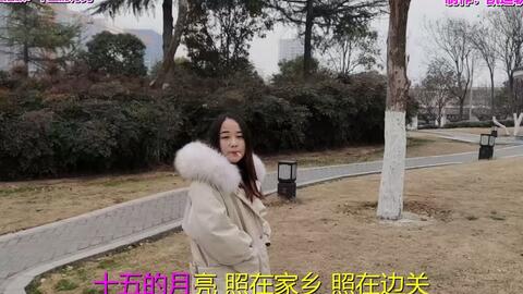 命运不是辘轳曲谱_命运不是辘轳的图片(5)