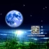 荷塘月色-郭东昊版LED舞台背景视频-荷花-月亮