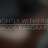 【指弹】（于是这究竟是什么琴？）Jacob Raagaard二连发