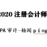 2020CPA审计-注册会计师审计-杨闻萍（全）-注会审计