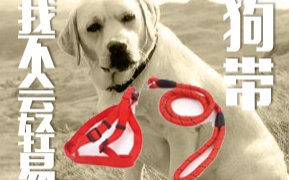 【北炎】痴心人儿不！狗！带！