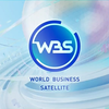 WBS 2月20日